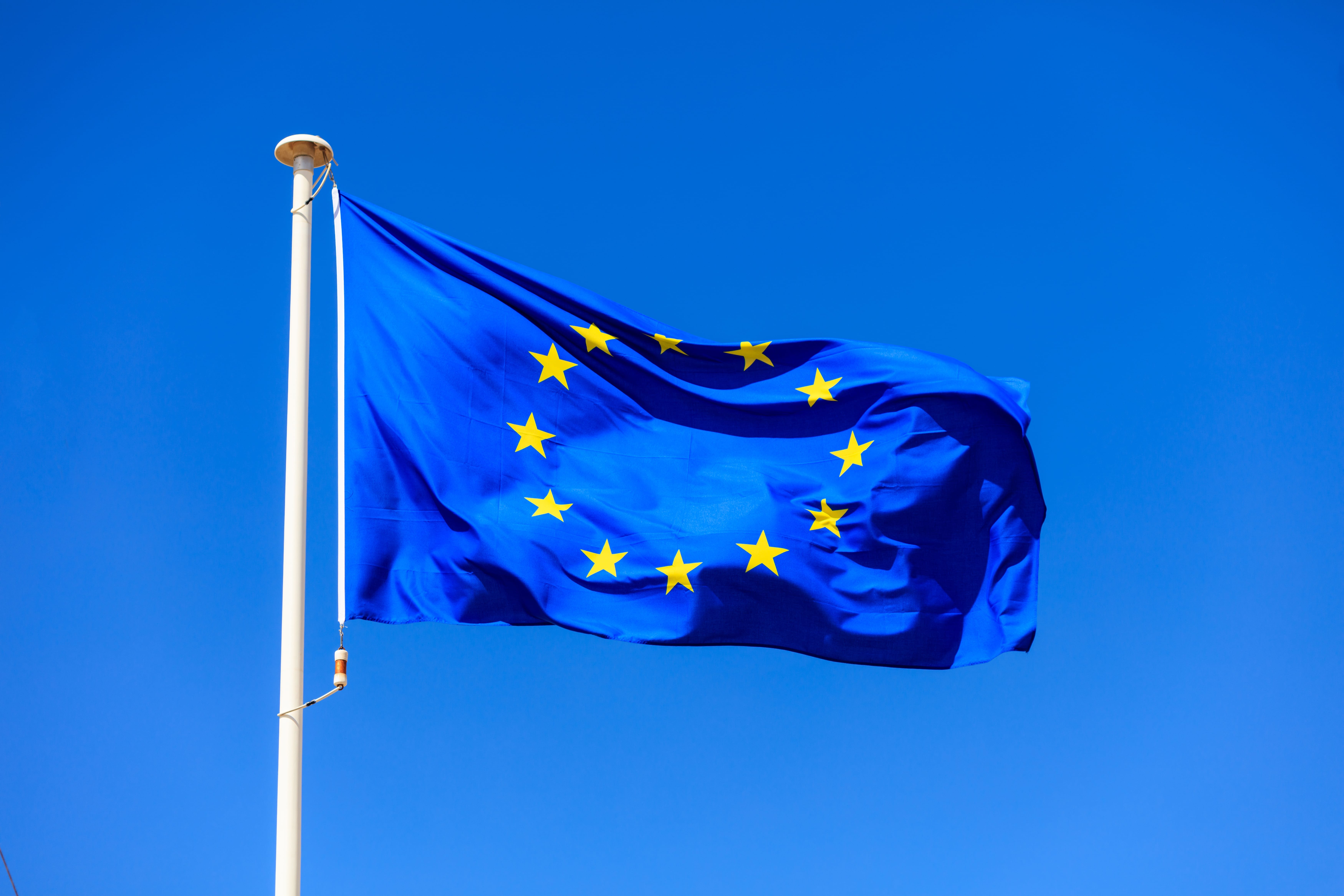 European Union flag